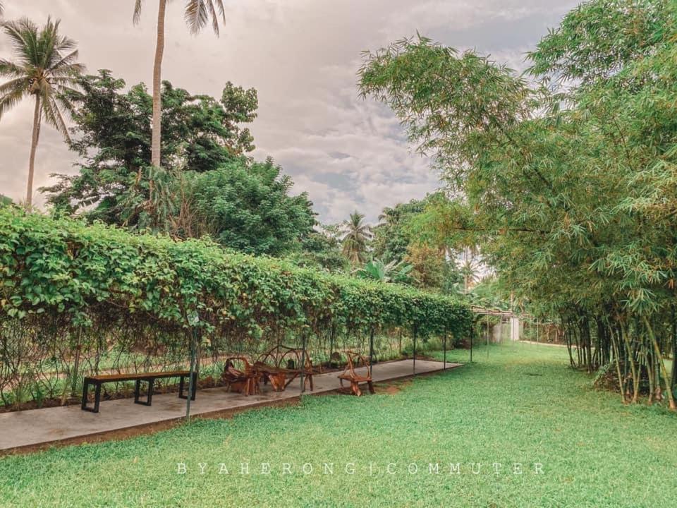 Dreamink Farm Og Myl'S Place Sorsogon Luaran gambar