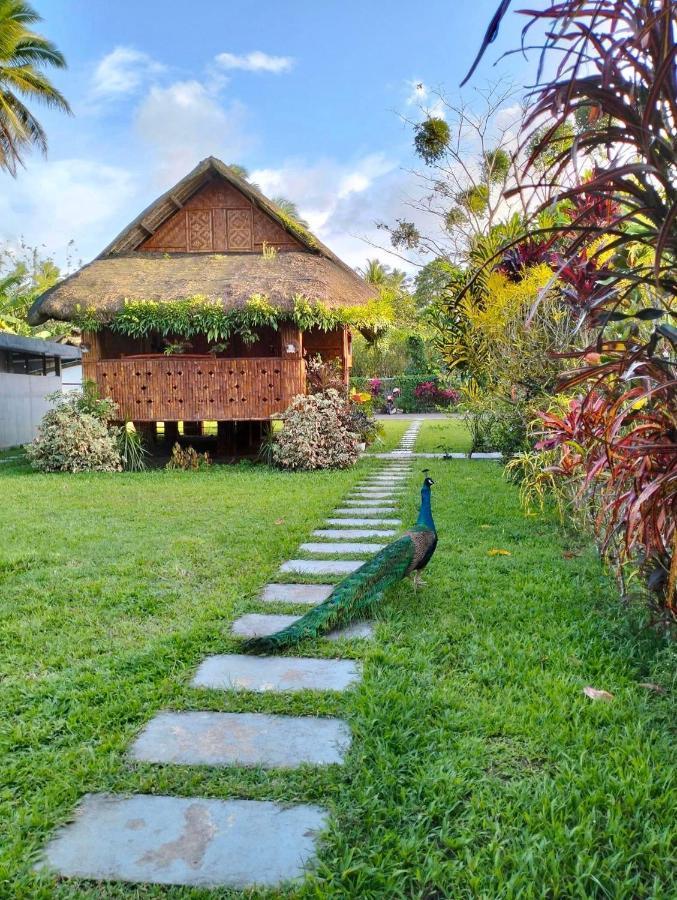 Dreamink Farm Og Myl'S Place Sorsogon Luaran gambar
