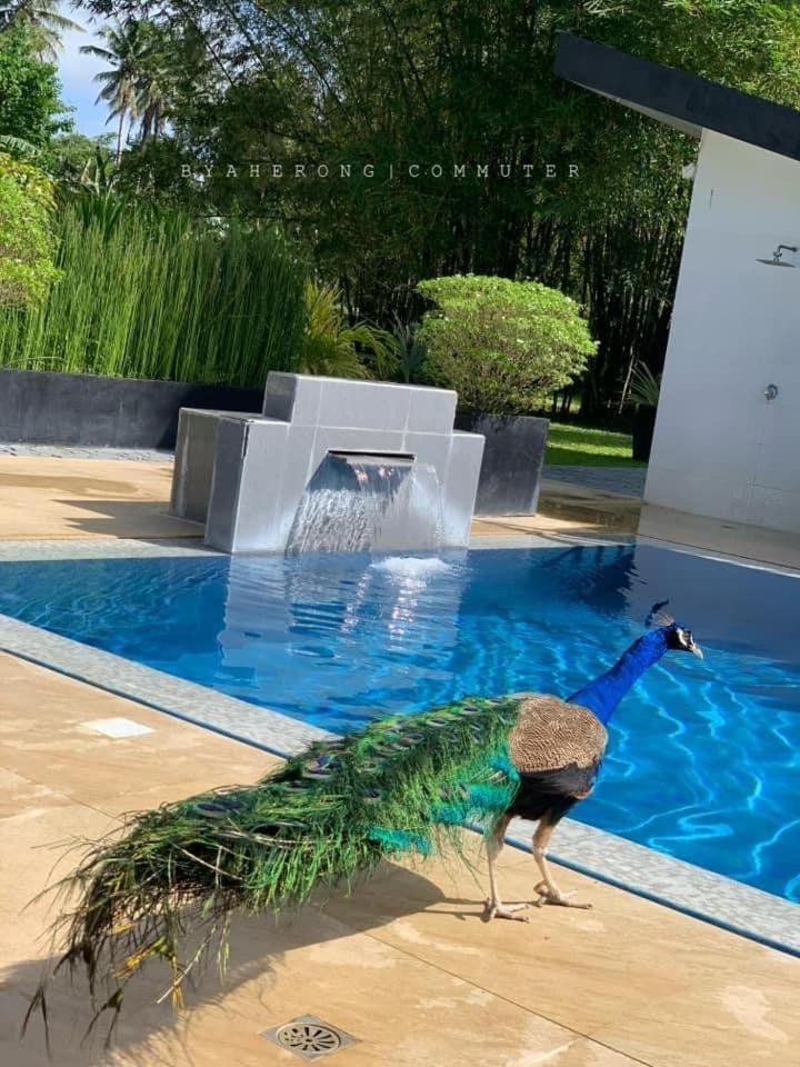 Dreamink Farm Og Myl'S Place Sorsogon Luaran gambar